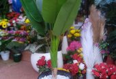 ARTIFICIAL SEVEN LEAF BANANA PLANT
