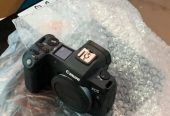 Canon R body Only