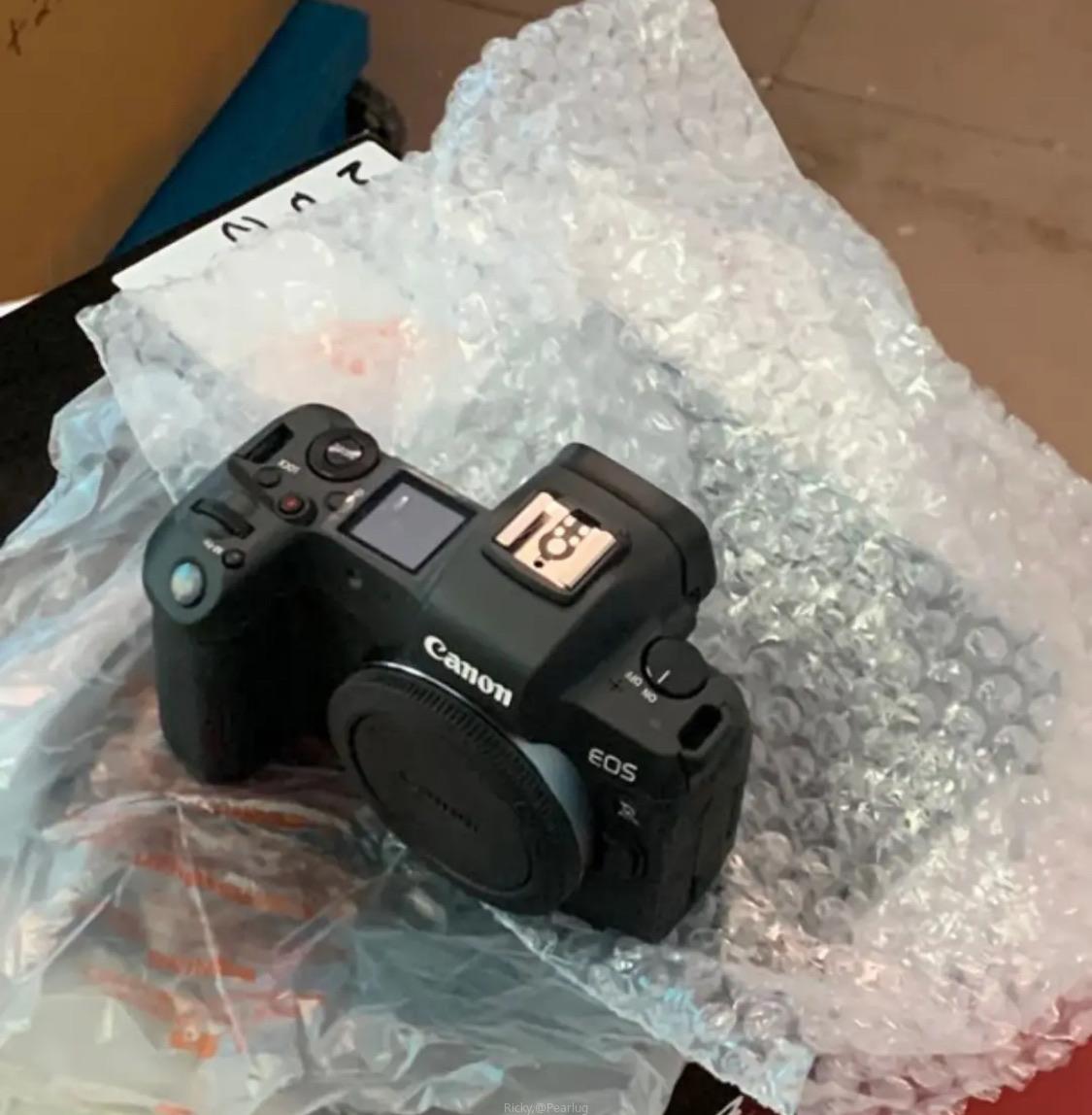 Canon R body Only
