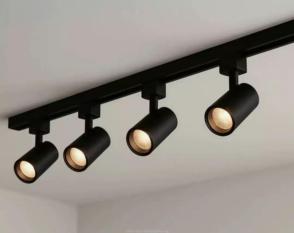 Track light/pointer light