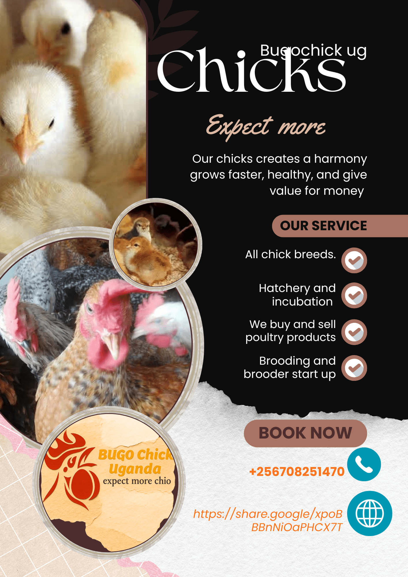 Chicks