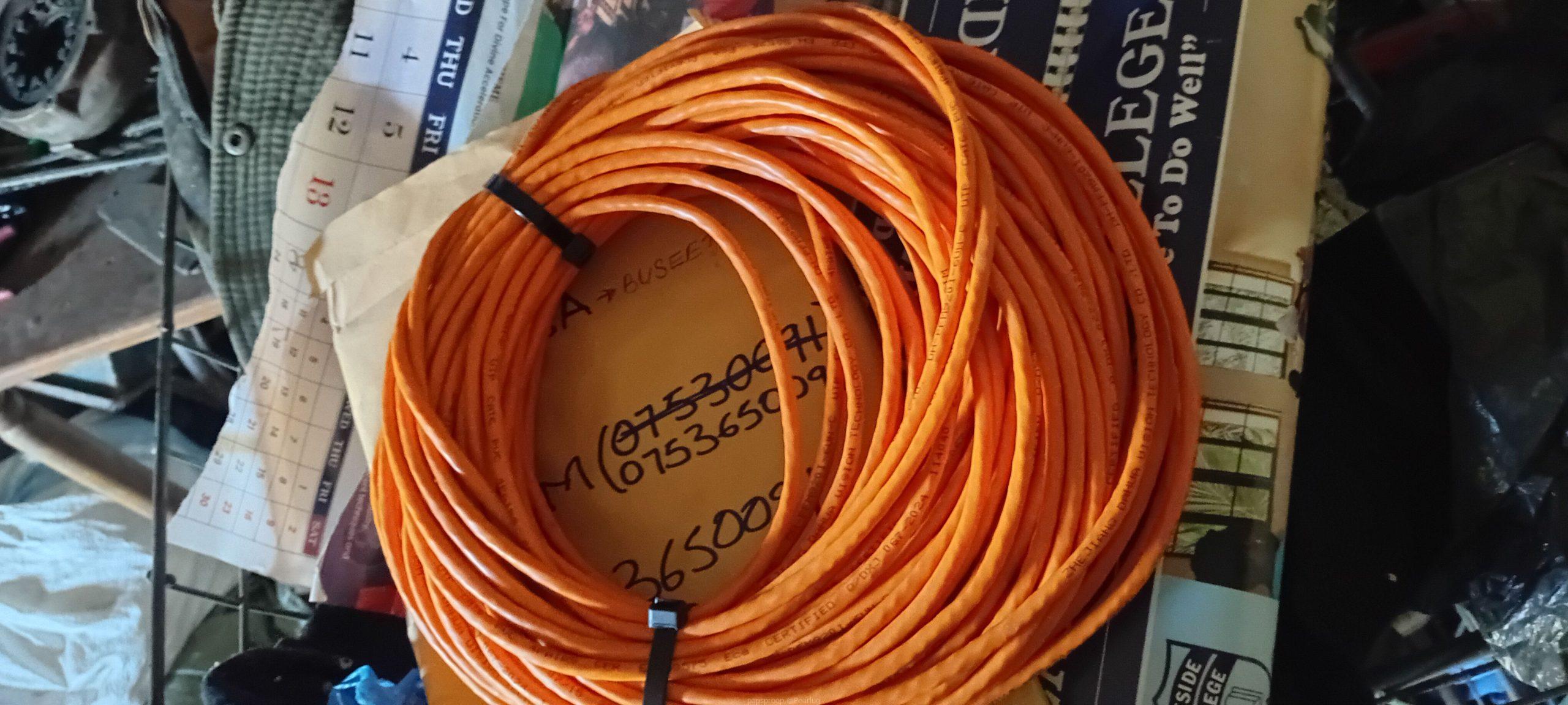 Cute 6 network cable