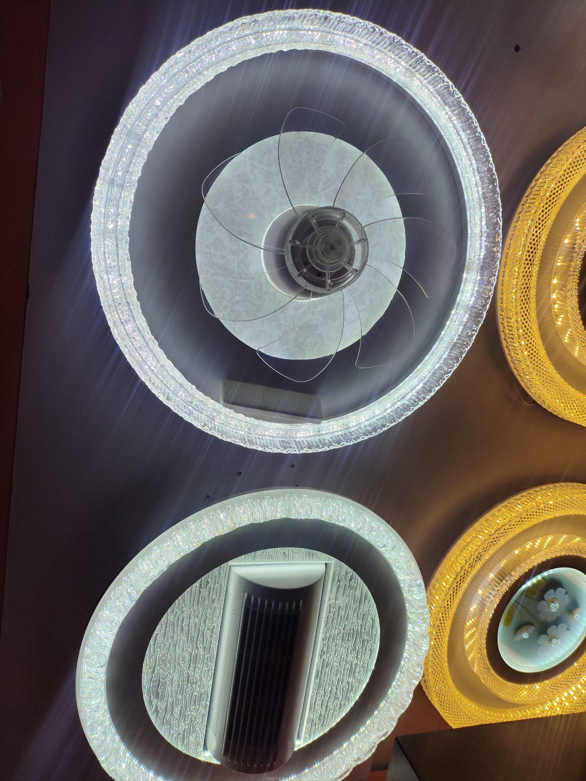 LED light with fan