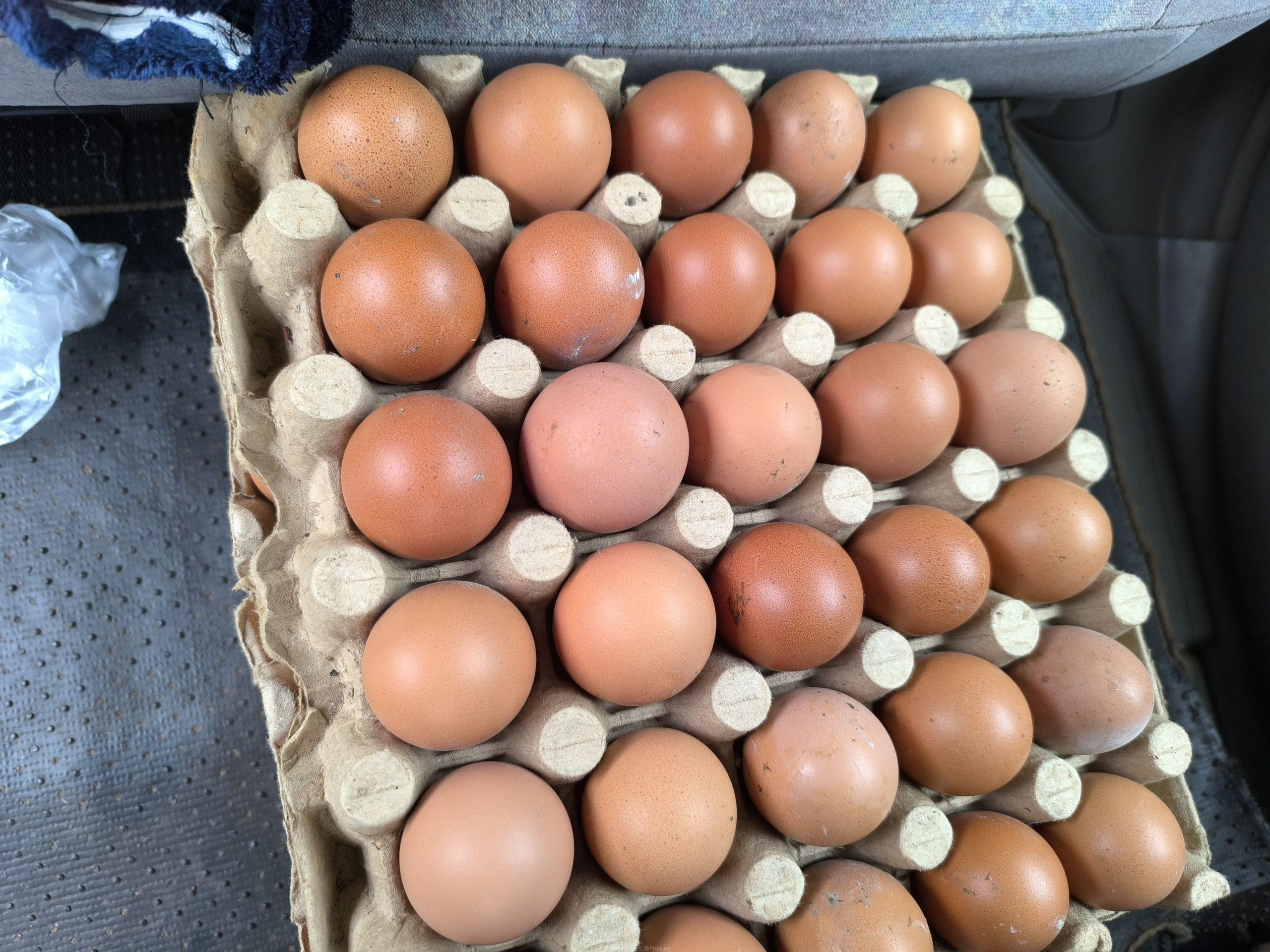 Eggs