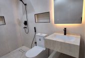 Professional Plumber & Technician