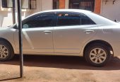Premio 2015 model