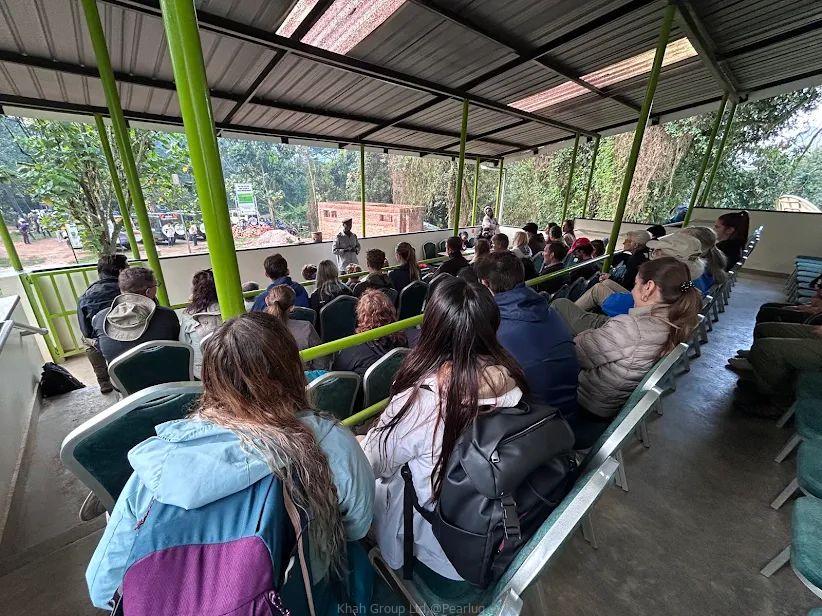 Gorilla trekking in Uganda