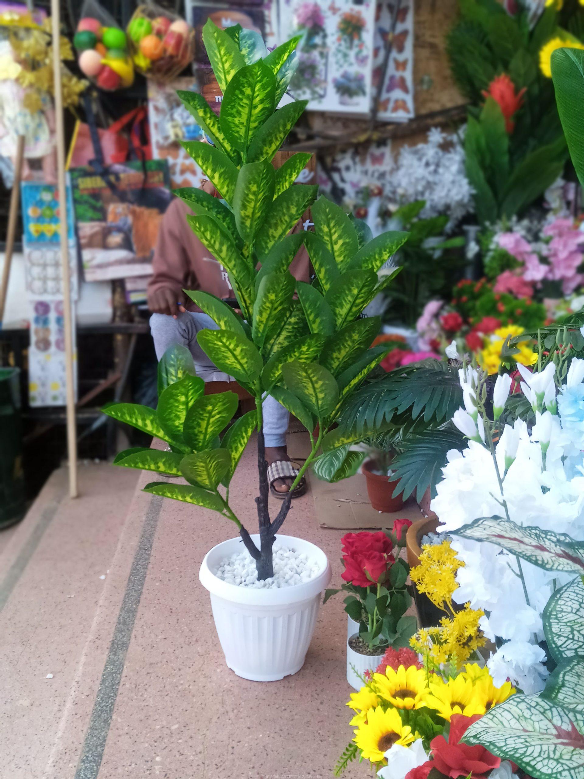 POTTED & STAND FLOWERS