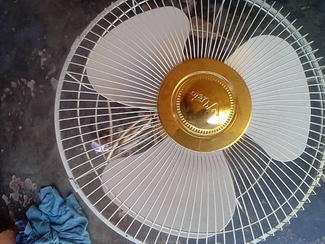 Ceiling fan