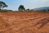 Plots on entebbe road near st Mary’s stadium 50/100 goes fir 100m private mailo