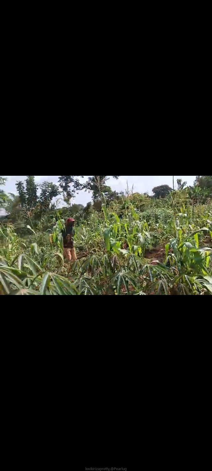 PLOT on sale 15m agreement, 70fts by 100fts. kapeeka zirambwa