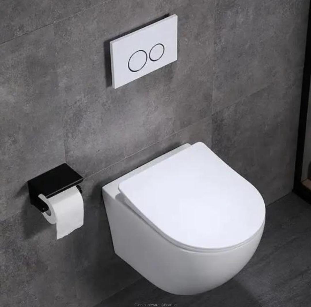 Concealed toilet