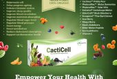 Stem cells