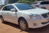 Premio 2015 model