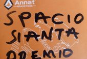 Brake pads for (Spacio/Sienta/Premio )