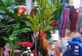 POTTED & STAND FLOWERS