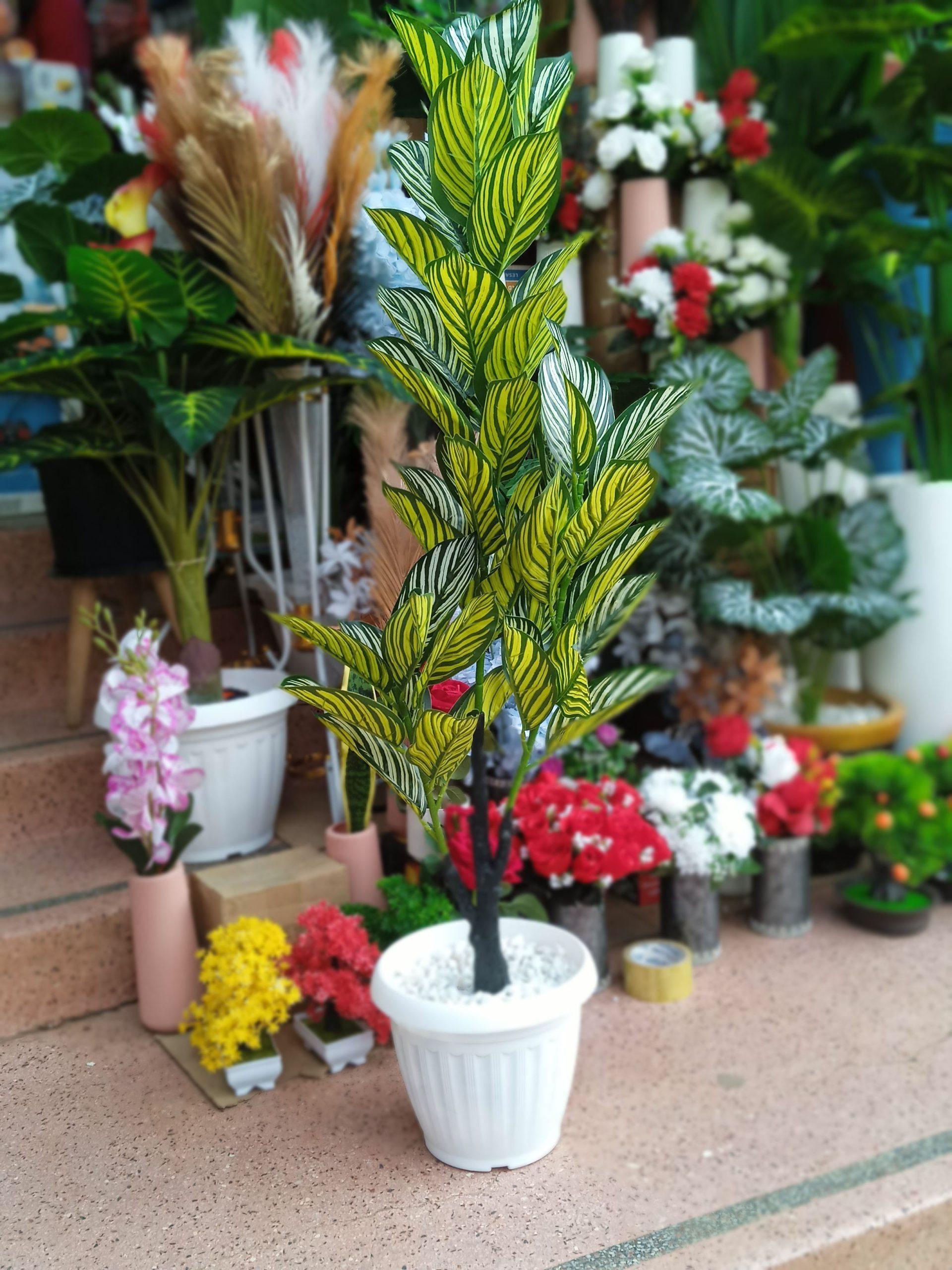 POTTED & STAND FLOWERS