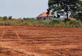 Plots on entebbe road near st Mary’s stadium 50/100 goes fir 100m private mailo