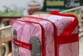 10PCS DUVET SET