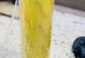 Packing tape