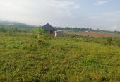 Katiti Kakiri Private Mailo Land