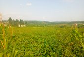 Katiti Kakiri Private Mailo Land