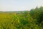 Katiti Kakiri Private Mailo Land