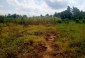 Katiti Kakiri Private Mailo Land