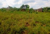 Katiti Kakiri Private Mailo Land