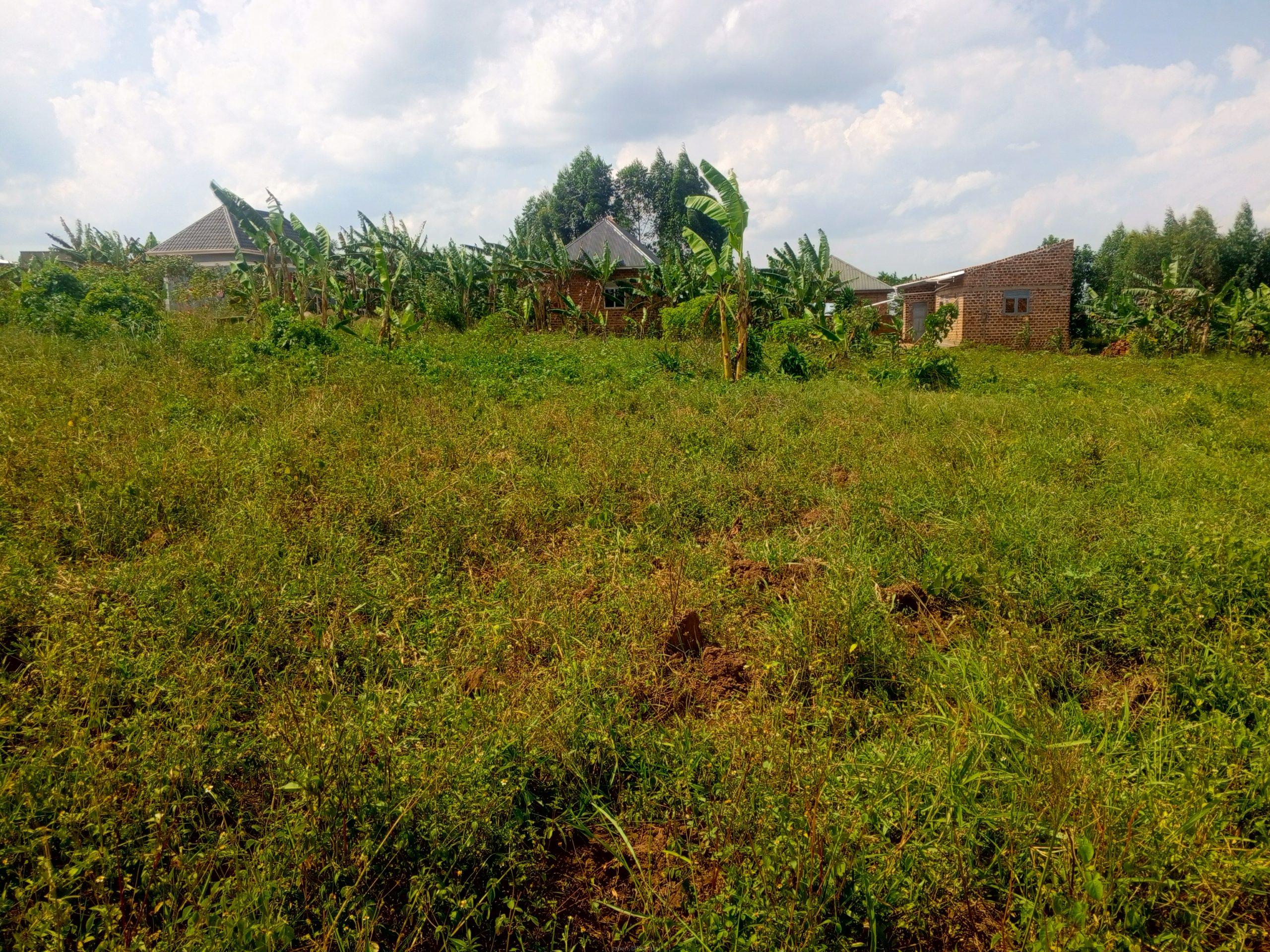 Katiti Kakiri Private Mailo Land
