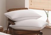 2pcs of five-star hotel series comfortable pillow