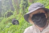 Gorilla trekking in Uganda