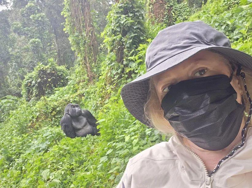 Gorilla trekking in Uganda