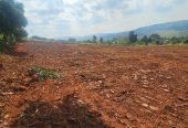 Plots on entebbe road near st Mary’s stadium 50/100 goes fir 100m private mailo