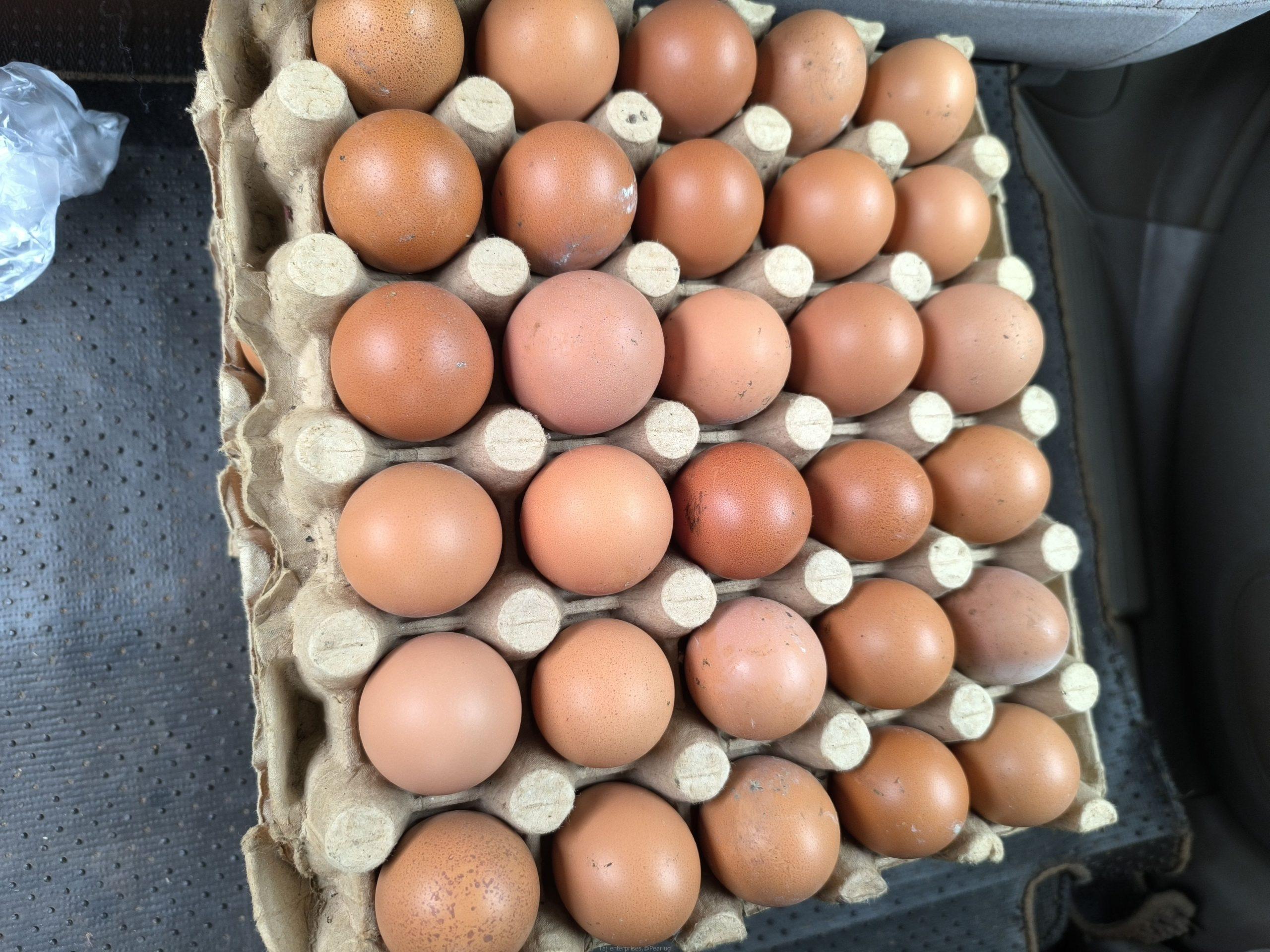 Eggs
