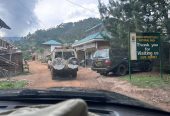 Gorilla trekking in Uganda