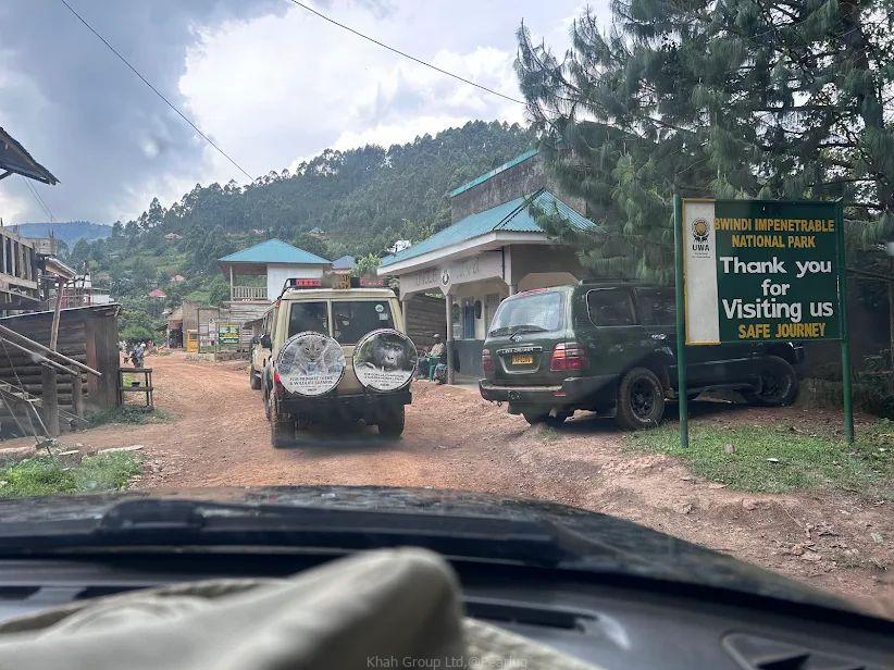 Gorilla trekking in Uganda