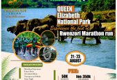 Rwenzori marathon run