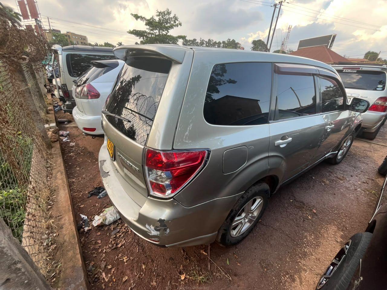 Subaru forester