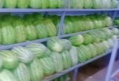 Fruits