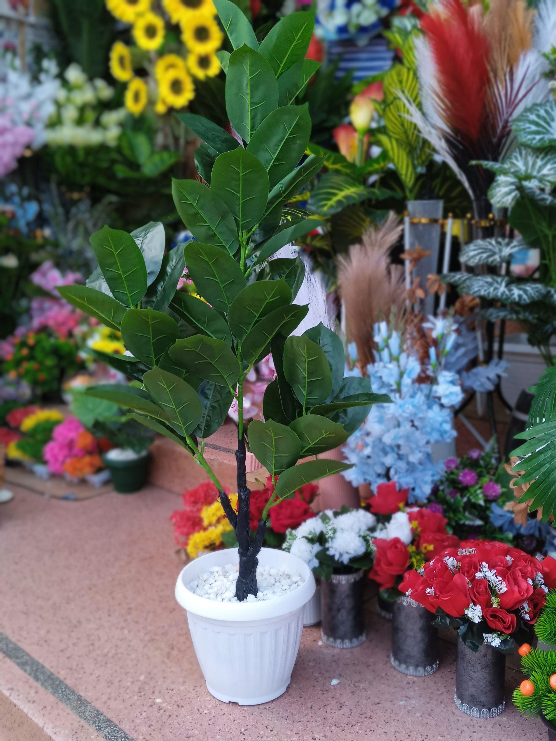 POTTED & STAND FLOWERS