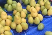 Fruits