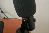 Moana Microphone 🎤