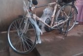 Bicycle sell