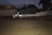 Jungle life sound