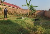 Plot for sale 75×60 ft in bukerere