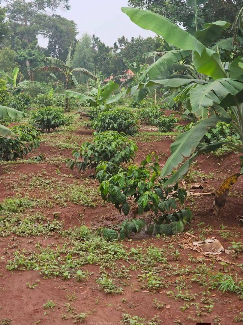 Acres for sale