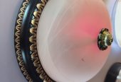 Ceiling center light for your house