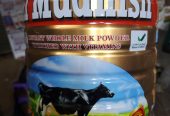 Whole milk powder