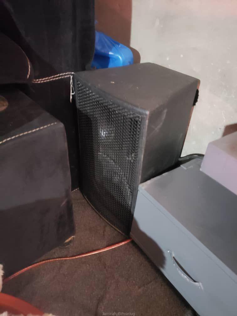 Music hoofers and amplifier